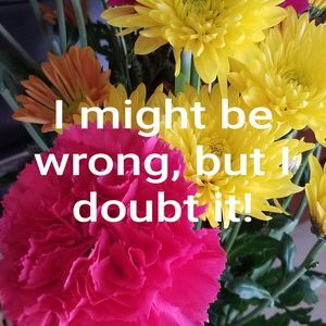 Meet your Posher, Teri